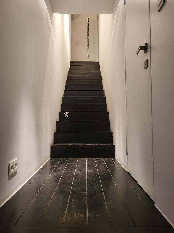 Gezellige Moderne Woning Met Zwemvijver Галле Екстер'єр фото